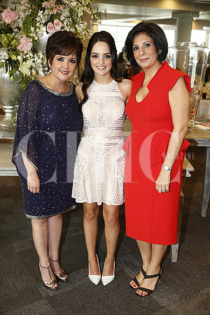 Lorena Flores de De la Garza, Ana Cris de la Garza y Mónica Castellanos de Maynez (3)