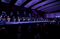 Festival 3