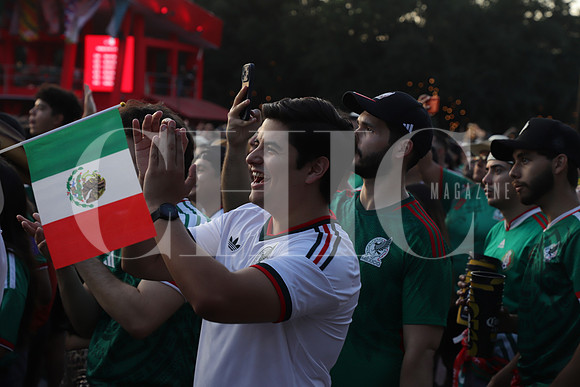FIFA Fan Fest 4