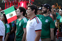 FIFA Fan Fest 5
