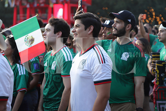 FIFA Fan Fest 5