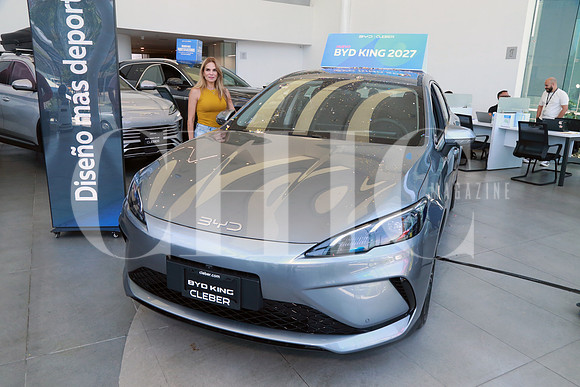 Aspectos del nuevo BYD King 2027 (12)