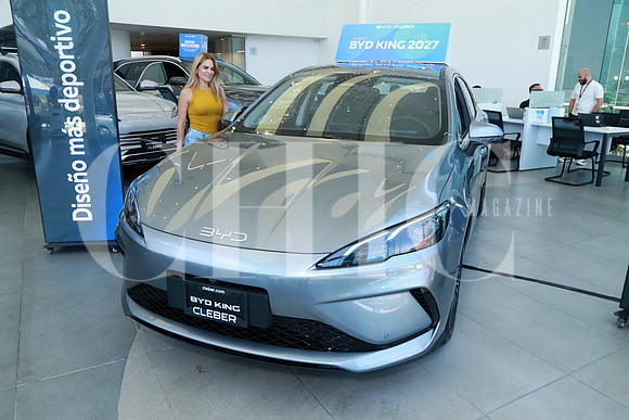 Aspectos del nuevo BYD King 2027 (13)