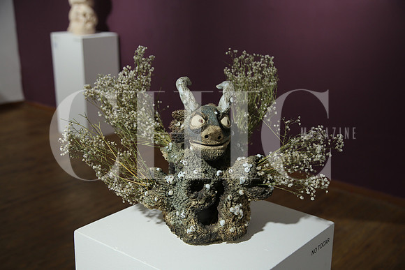 Detalle (15)
