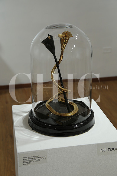 Detalle (4)