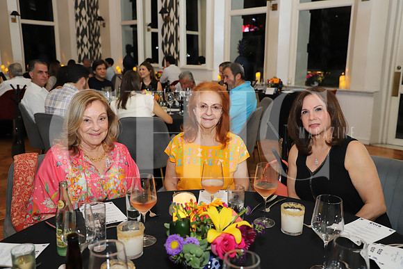 Margarita Rodriguez de Ibarra, Eloisa Lozano de Arce y Morena García de Cruz 0