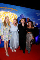 Ale Maltos, Gaby de Gracida, Luis Guajardo y Lourdes Tirado (3)