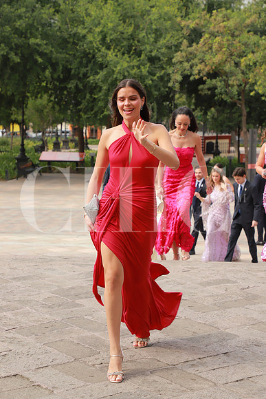 Boda de Alexia Meyer y Roberto Rodríguez 17