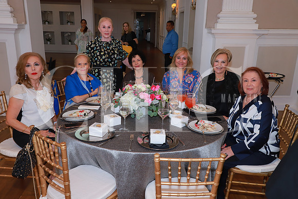 Paty Assad, Rosy Cabrera, Lucila Araico, Paty Canales, Lucía Bueno, Sylvia Villarreal e Hildaelisa Melendez 4
