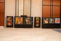 Hotel Hilton VO 3