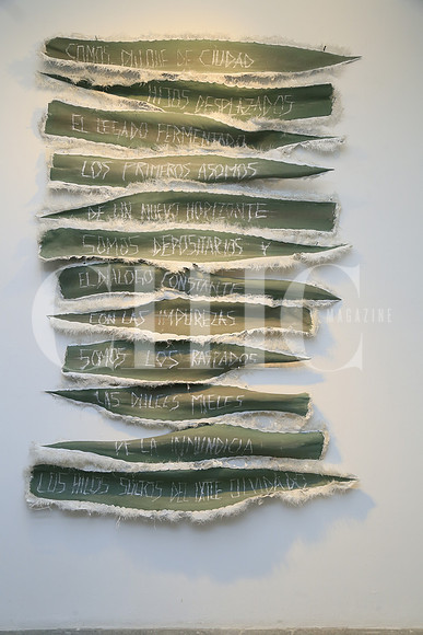 Obra de Carlos Guajardo (2)