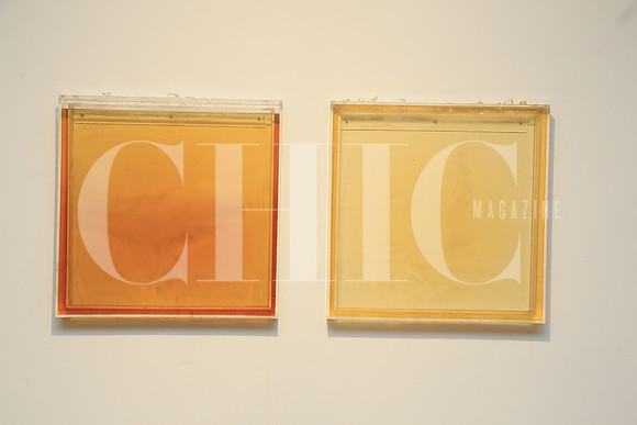 Obra de Carlos Guajardo (3)