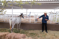 Arturo Isalas (2)