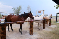 Aspectos (2)
