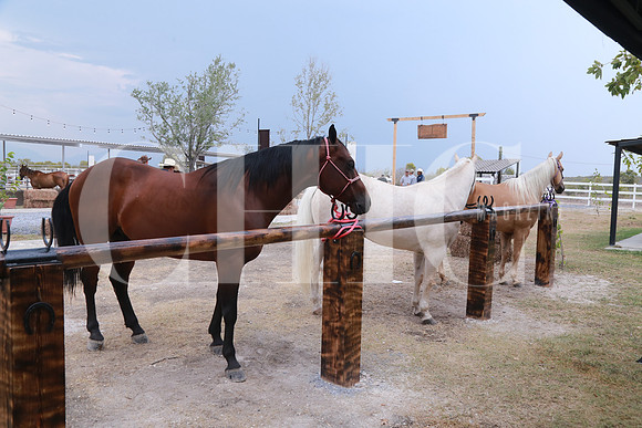 Aspectos (2)