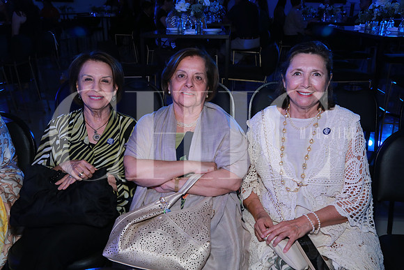 Idalia Salas de Barragán, Yolanda Vega y Sandra Zorrilla (2)