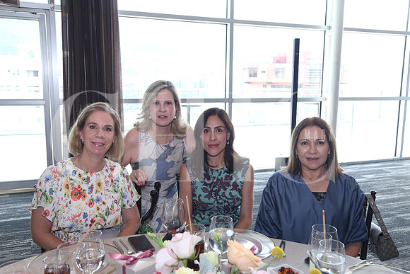 Magda Rocha, Giselle Vela, Gabriela Lozano y Carmen de Balli 0