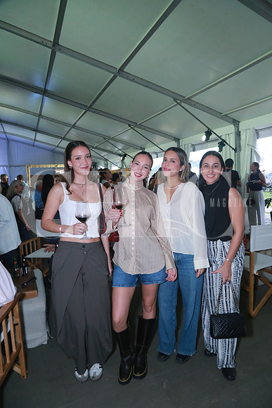 Eva Villanueva, Teresa Villanueva, Gabriela Sánchez y Catalina Rodríguez (2)