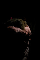 Aspectos (4)
