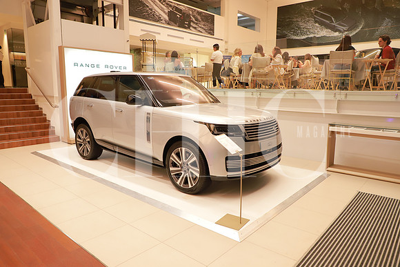 Land Rover 6