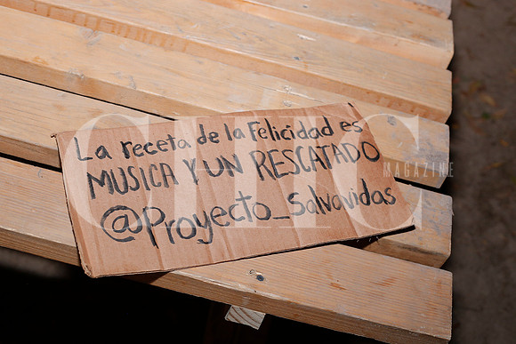 Palnorte 2023 10