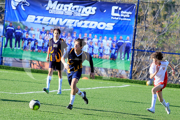 Aspectos (8)