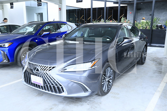 Aspectos nuevos modelos de autos Lexus en exhibición (13)