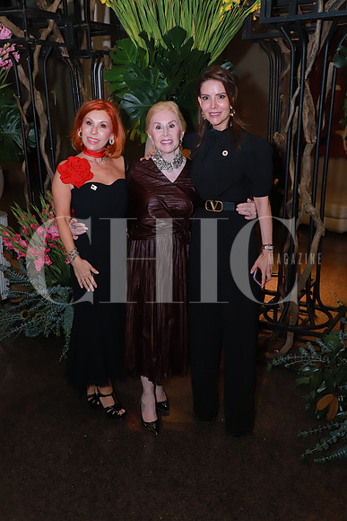 Laura Barrera, Lucila Araico y Mónica Martínez 4