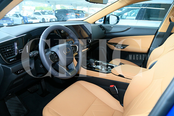DETALLE NUEVOS MODELOS LEXUS (20)