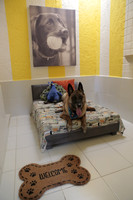 Barking House 4