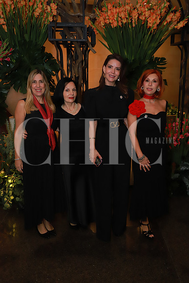 Elsa gutierrez, Alejandra Ibarra, Mónica Martínez y Laura Barrera 3