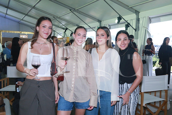 Eva Villanueva, Teresa Villanueva, Gabriela Sánchez y Catalina Rodríguez