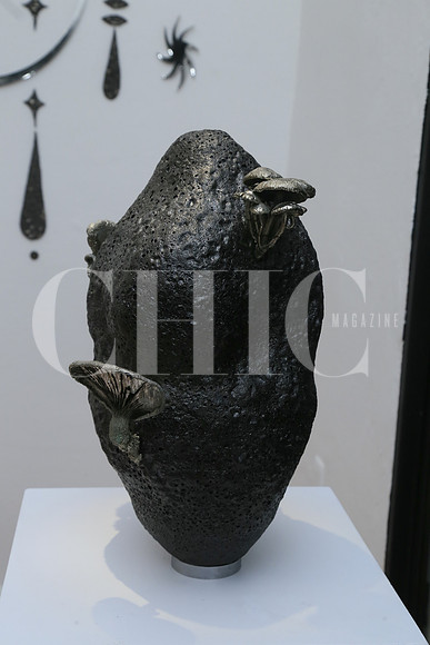 Obra de Mariana Con