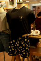 AERIE 14