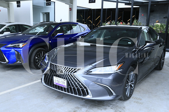 DETALLE NUEVOS MODELOS LEXUS (12)