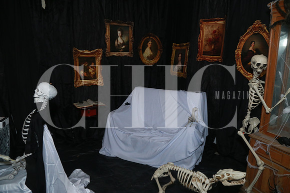 Detalles (4)