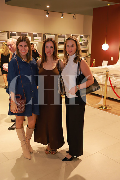 Alejandra Barragán, Nora Guzman y Adriana Martínez 2