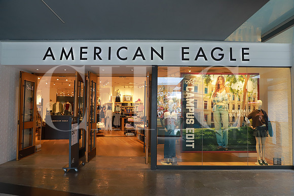 AERIE 1