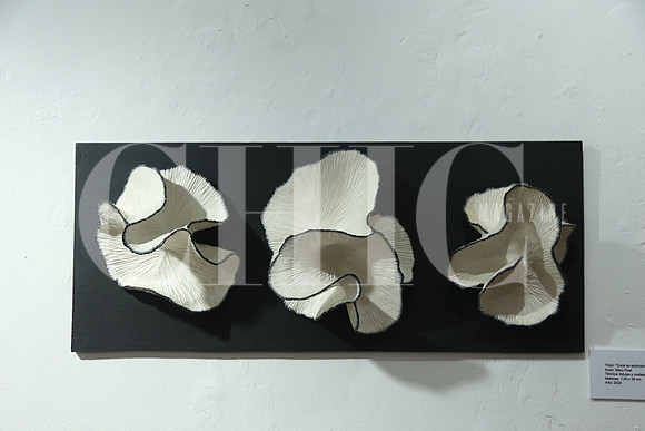Detalle28