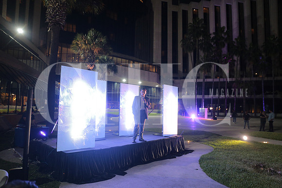 Presentación 1