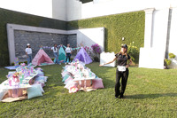Dreams 19