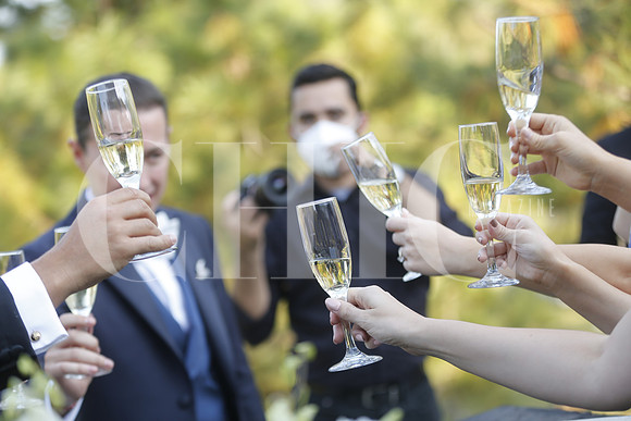 Brindis (2)
