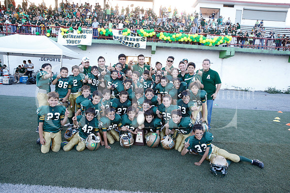 Avispones Campeones Cat.j-. Hormiguitas -2-2