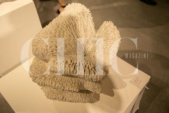 Detalle5