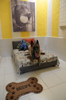 Barking House 3