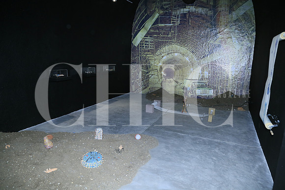 Expocisión Panósmico