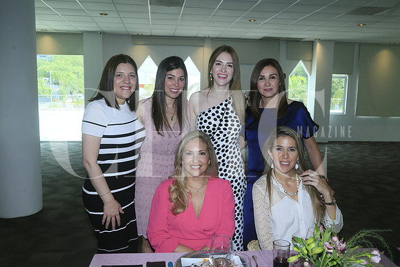 Liliana Velázquez, Marcela de Garza, Gaby Espinosa de Kuri, Cecilia de Elizondo, Cynthia Arreyano de González y Caty Villarreal de Safi