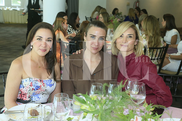 Magaly de Villarreal, Roberta Levy de Quiroz y Daniela Nuño