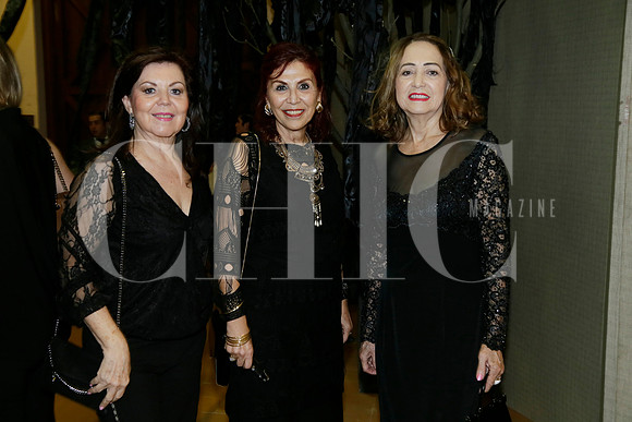 Marisela Guzmán, Paty García y Carmén Herrera (2)