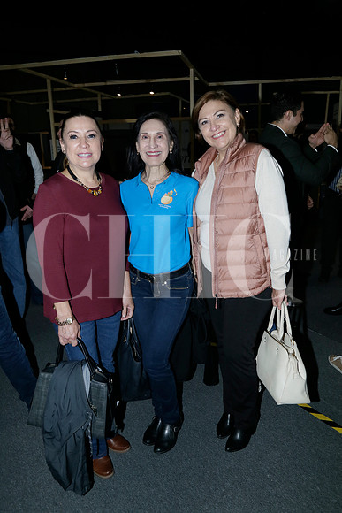 Patricia Martínez, Laura Gómez y Mayela Martínez (2)